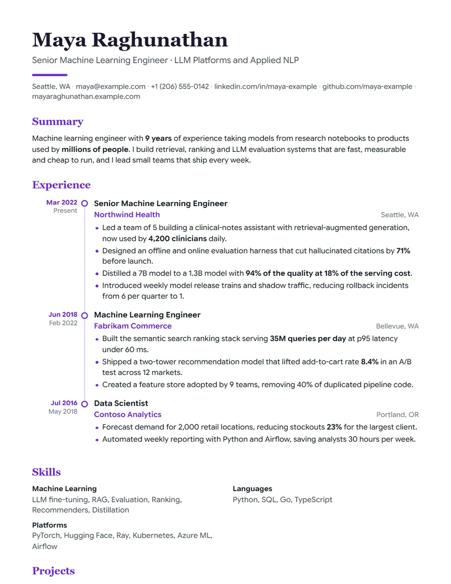 Chronicle resume template preview